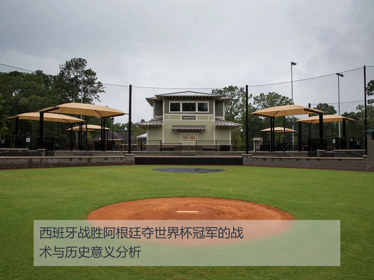 西班牙战胜阿根廷夺世界杯冠军的战术与历史意义分析